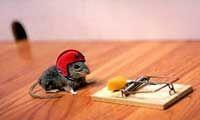 Квартирная война: пленных не брать