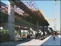 Финансирование строительства Подольского моста сократили на 100 млн. гривен