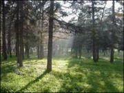 В Луганске появятся новые парки 