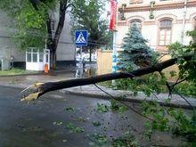 Количество жертв урагана во Львовской области выросло до 38 человек