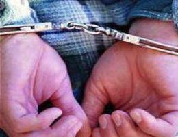 Житомир:  строительные махинаторы разоблачены