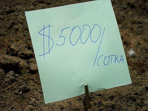 Земли Херсонщины: троекратный рост