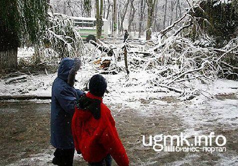 Ущерб от урагана в Донецке составляет 1,5 млн. грн. 