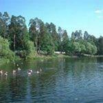 В Пуще-Водице будет аквапарк