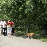Небоскреб на вишневых косточках