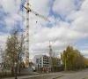 «Киевгорстрой» посадил на Позняках 2000 деревьев и кустов