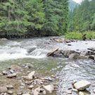 Прикарпатцы против гуцульского парка