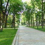 Зеленый Киев пошел с молотка