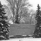 Строители режут на части киностудию им. Довженко