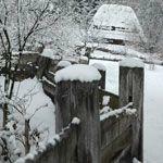 Прощай музей в Пирогово?