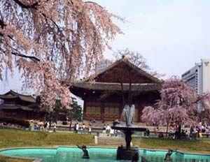 Корейцы построят в Алжире «город для богатых»