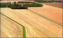 Литвин предлагает создать комитеты по защите земли