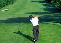 Киевские чиновники попали в лунку 