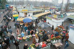 Рыпочная прогрессия