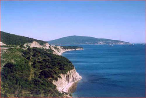 Недвижимость в Сочи