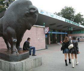 Зоопарк превратят в Диснейленд?