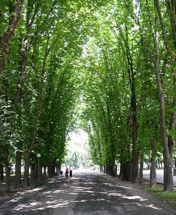 На месте бывщих артскладов в центре Полтавы возведут новый жилой микрорайон