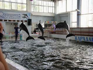 В центре Евпатории построят дельфинарий