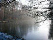 Бизнесмены захватили землю