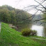 В Киеве проверят земли природно-заповедного фонда