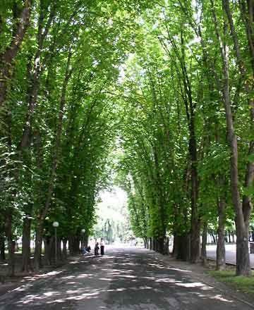 Полтавский горсовет отменил свое решение о выделении 1,5 га земли под строительство торгового центра на месте рынка "Полимпекс"