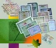 Механизм выпуска облигаций позволит небольшим компаниям удержаться на рынке жилищного строительства – мнение