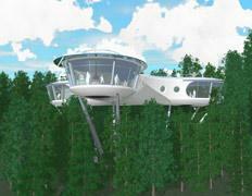 Поднебесная жизнь