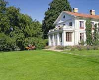 GreenLand — Производитель рулонных газонов в Украине