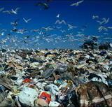 Украинские земли утопают в мусоре