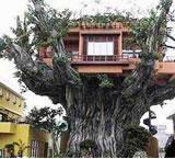 В Германии появился отель на дереве