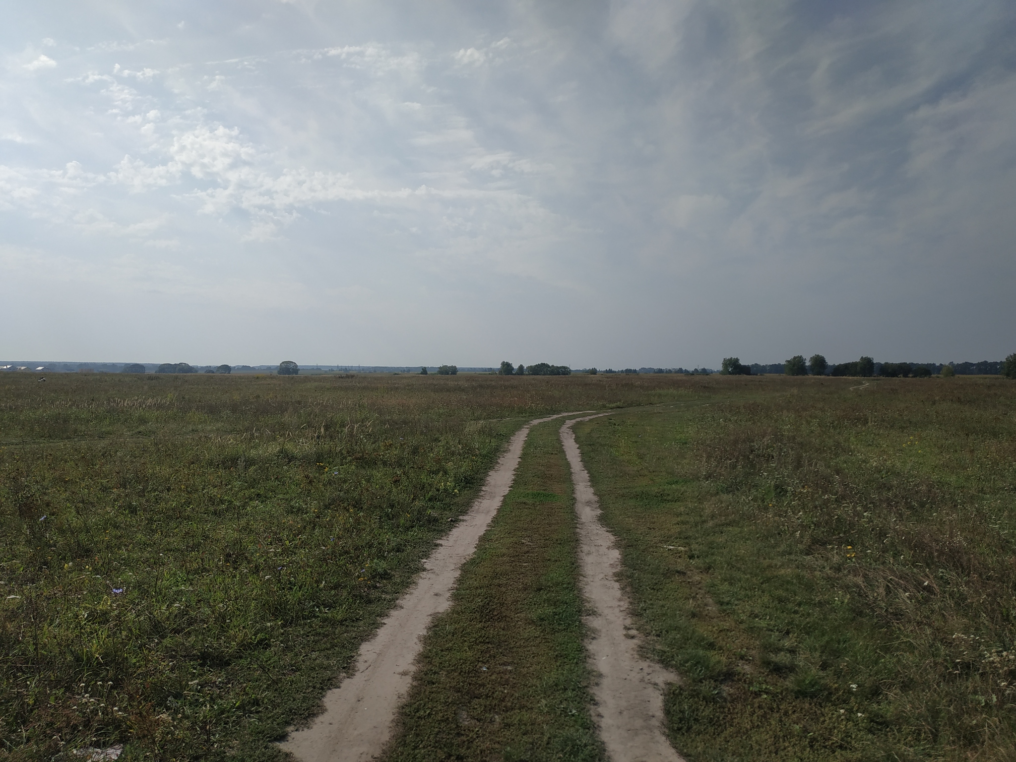 Продаж ділянки під рослинництво 524 соток, Комарова