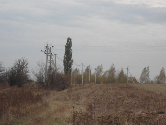 Продажа участка для растениеводства 500 соток, садовое