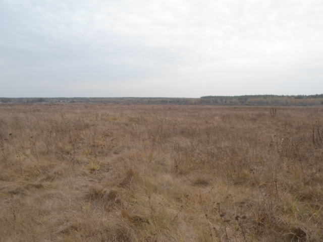 Продажа участка для растениеводства 500 соток, садовое