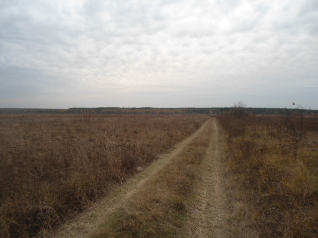 Продажа участка для растениеводства 500 соток, садовое