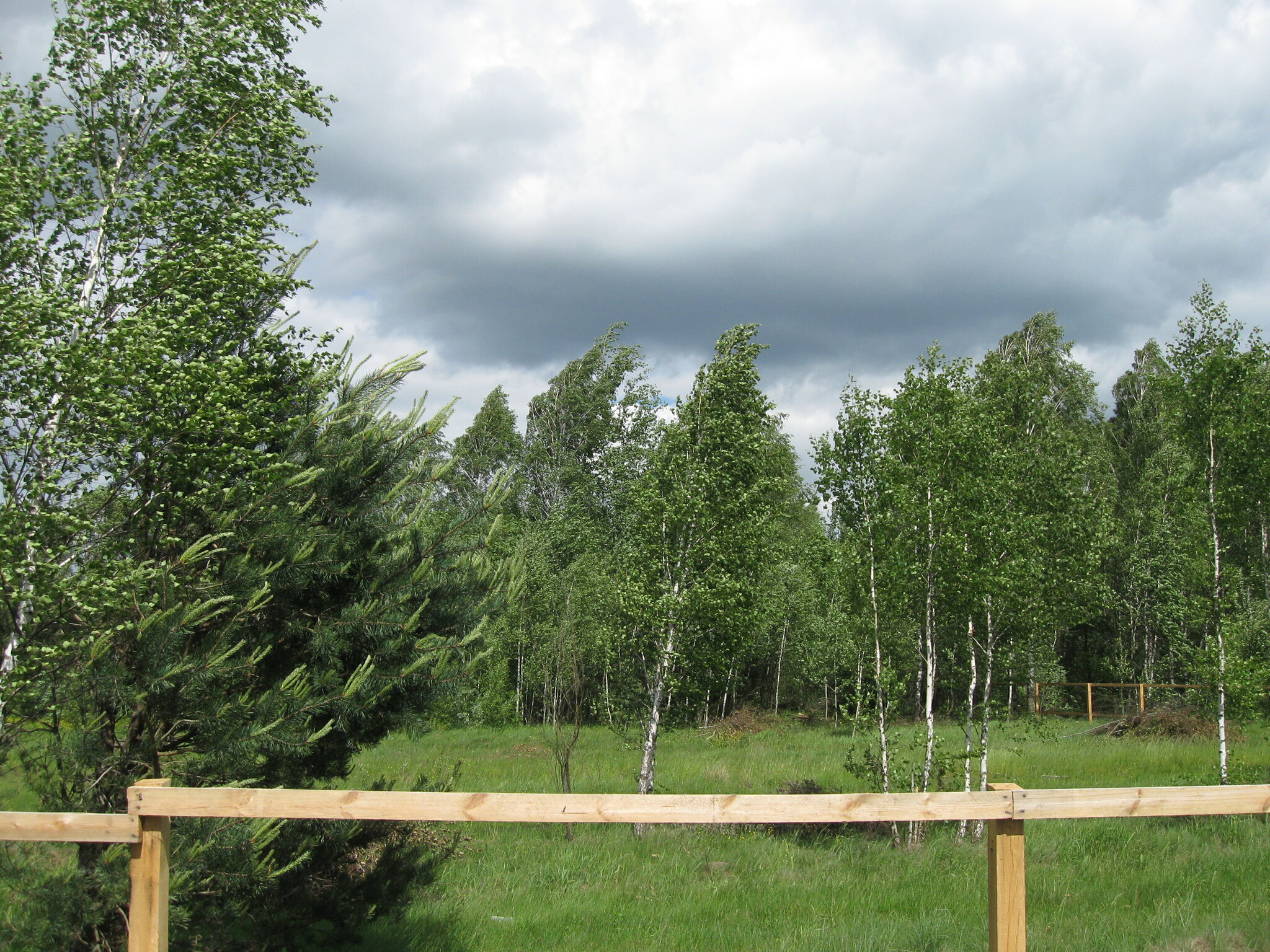 Продажа участка под индивидуальное жилое строительство 50 соток