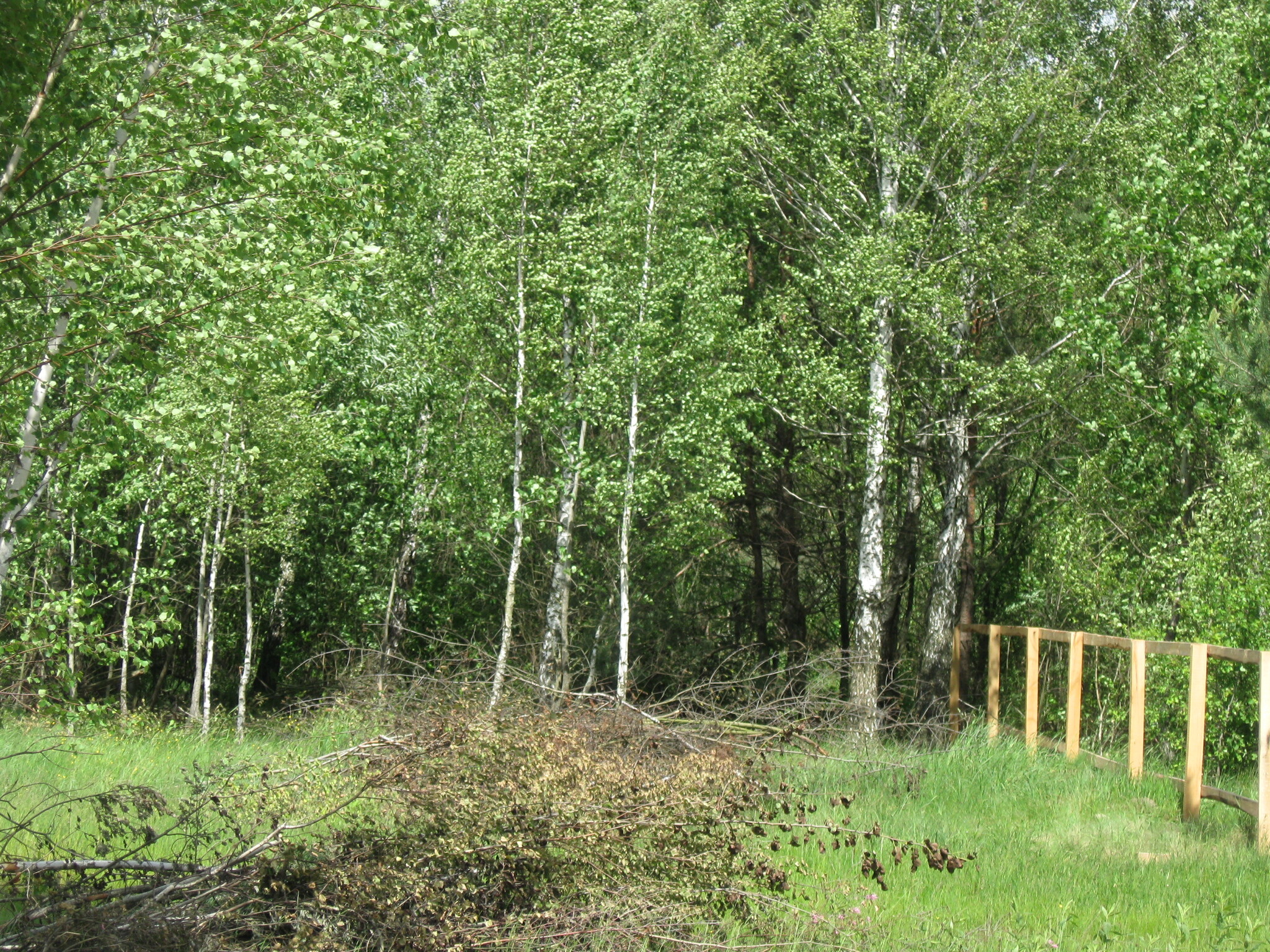 Продажа участка под индивидуальное жилое строительство 50 соток