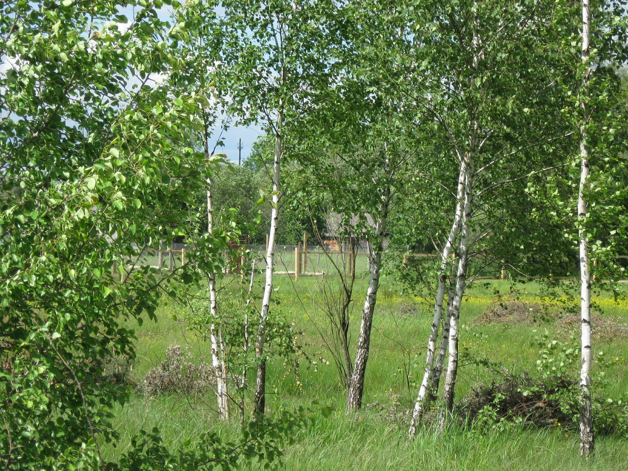 Продажа участка под индивидуальное жилое строительство 50 соток