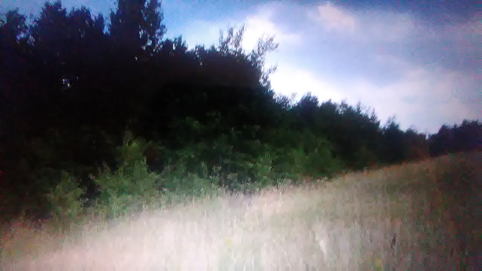 Продаж ділянки для приватного використання 15 соток, Лесная Песня ул.