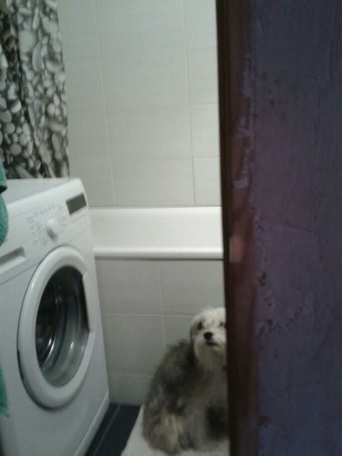 Продажа 3-комнатной квартиры 73 м², Асхарова ул., 17