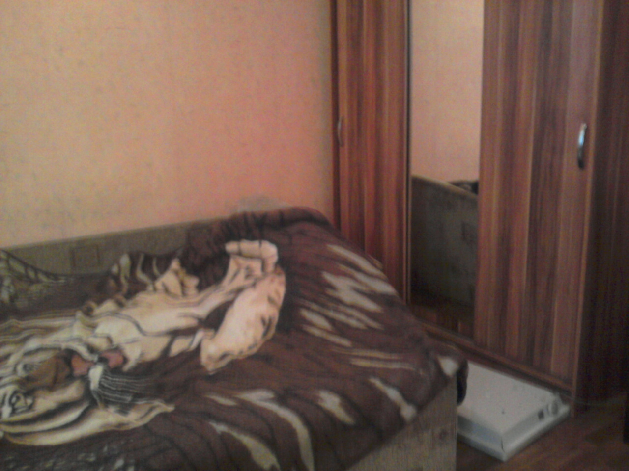 Аренда 1-комнатной квартиры 40 м², Москалевская ул., 166