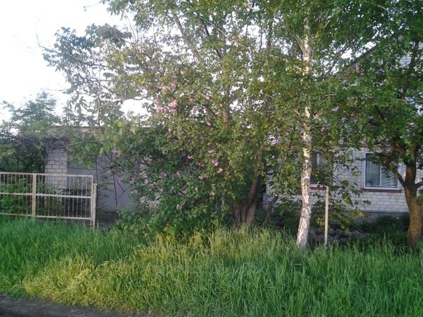 Продаж будинку 102 м², Паркоывая ул., 22