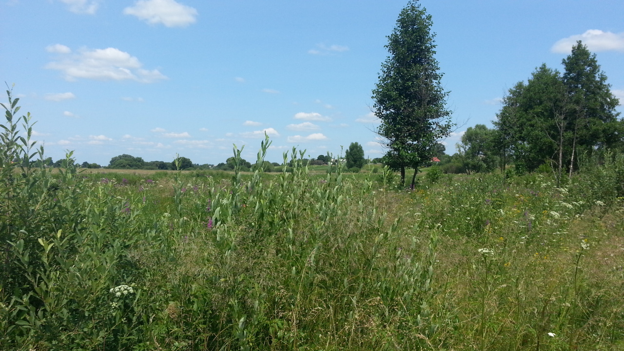 Продаж ділянки для приватного використання 12 соток, Садовая ул.