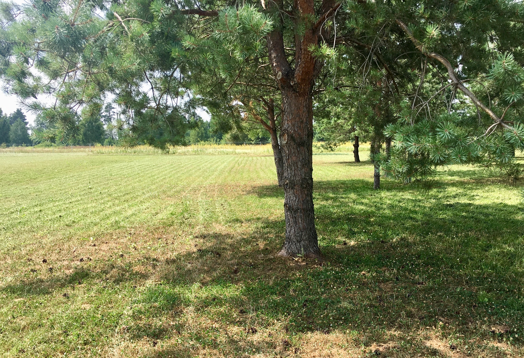 Продажа дачного участка 10 соток, Гагарина ул.