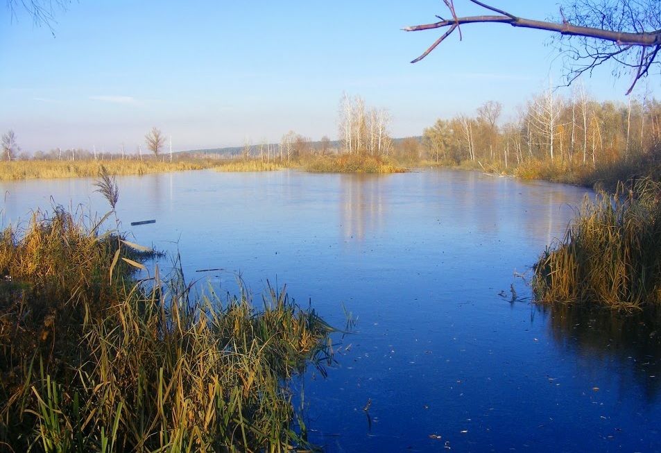 Продаж ділянки під індивідуальне житлове будівництво 10 соток, Рожевская ул.