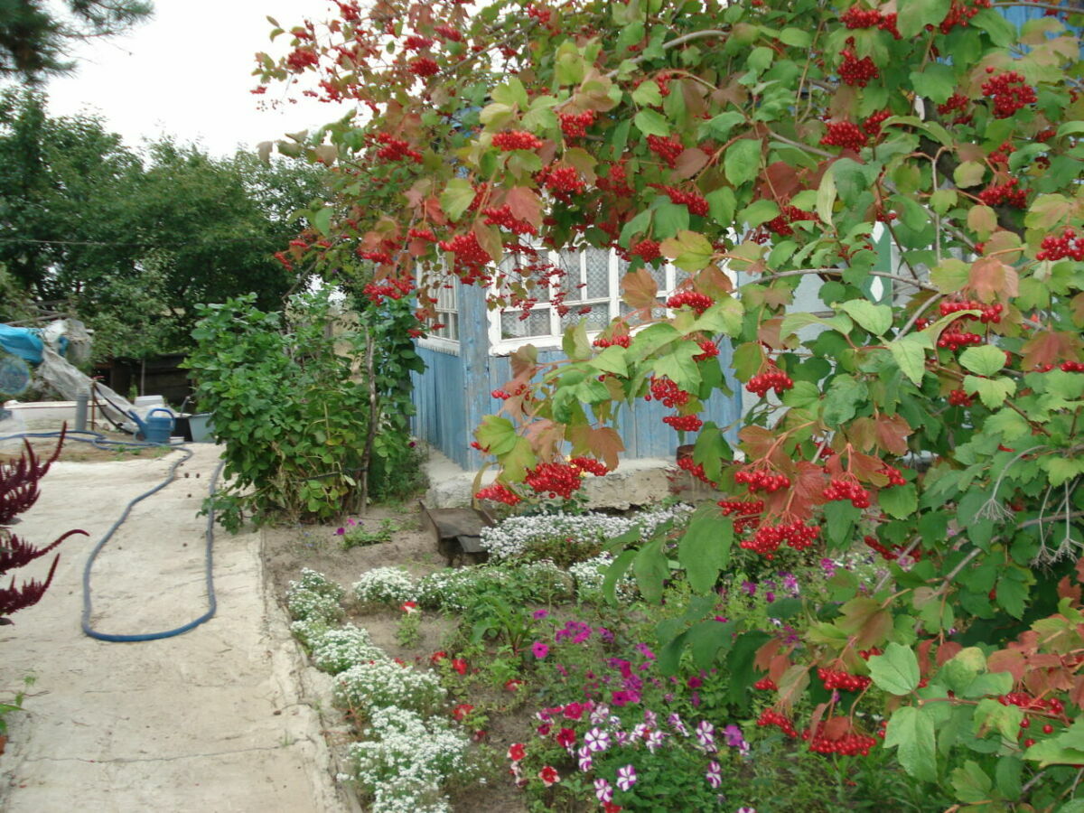 Продажа дома 65 м², Зеленый пер., 7