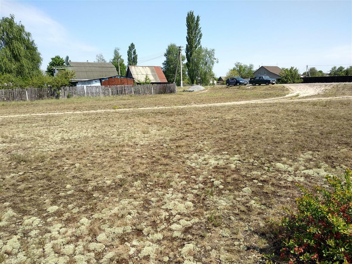 Продаж ділянки для приватного використання 12 соток, Вышгород ул.