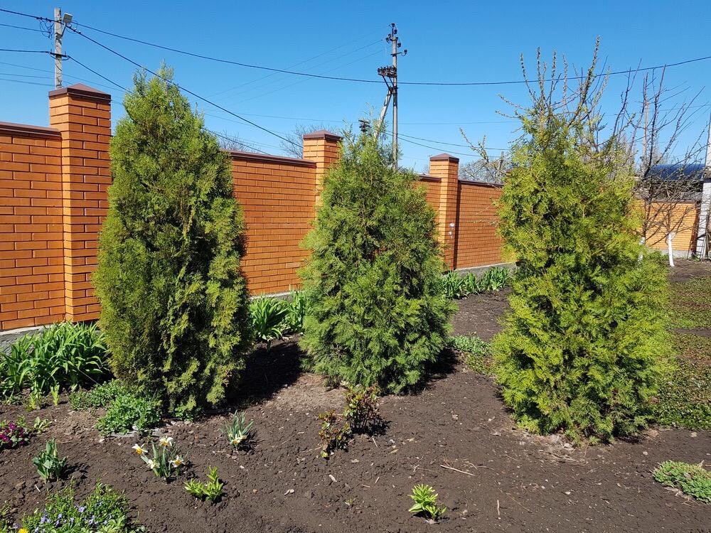 Продажа дома 269 м², Новоалександровка ул., 03