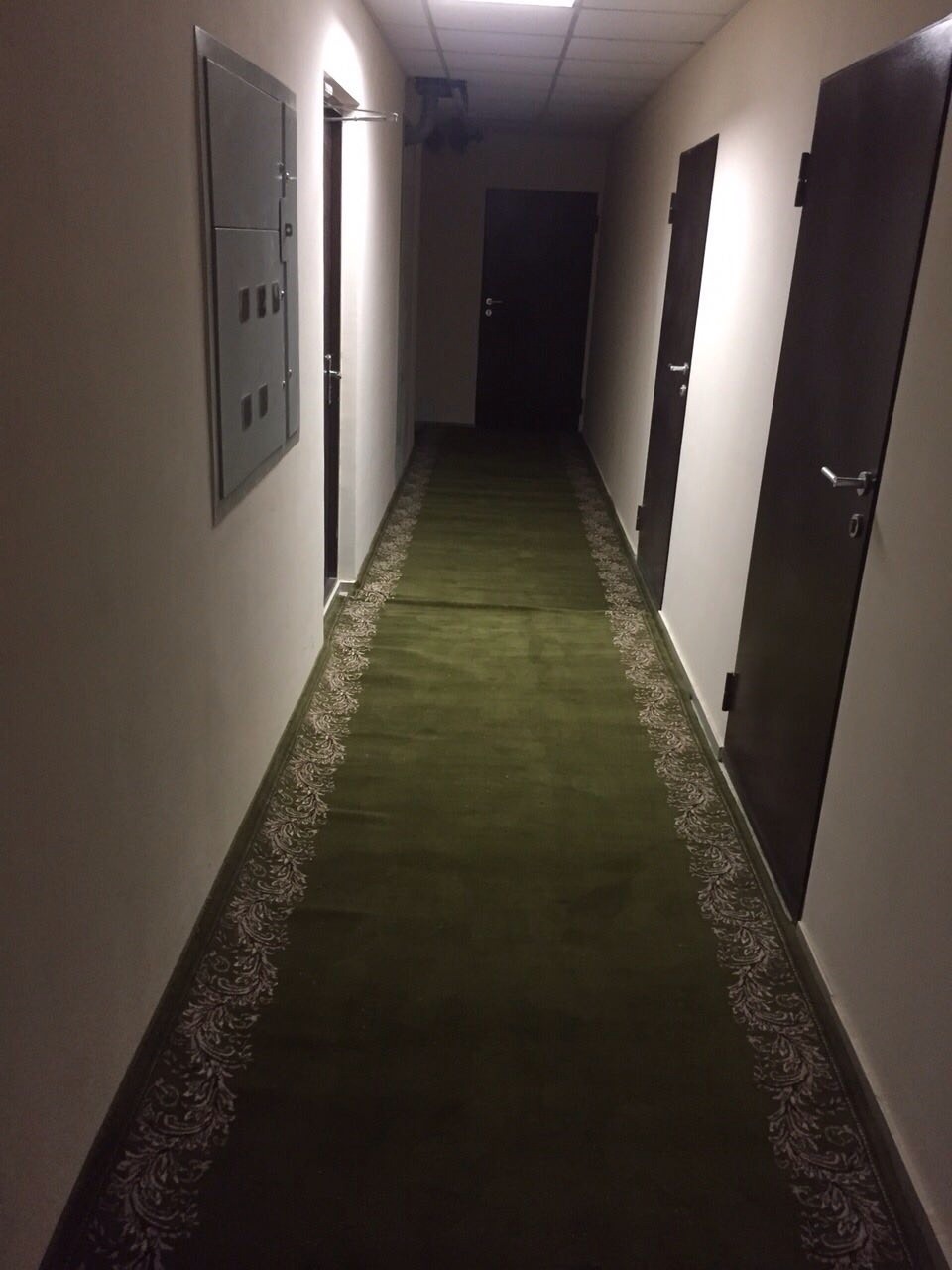 Аренда студии 40 м², Григоровское шоссе, 55