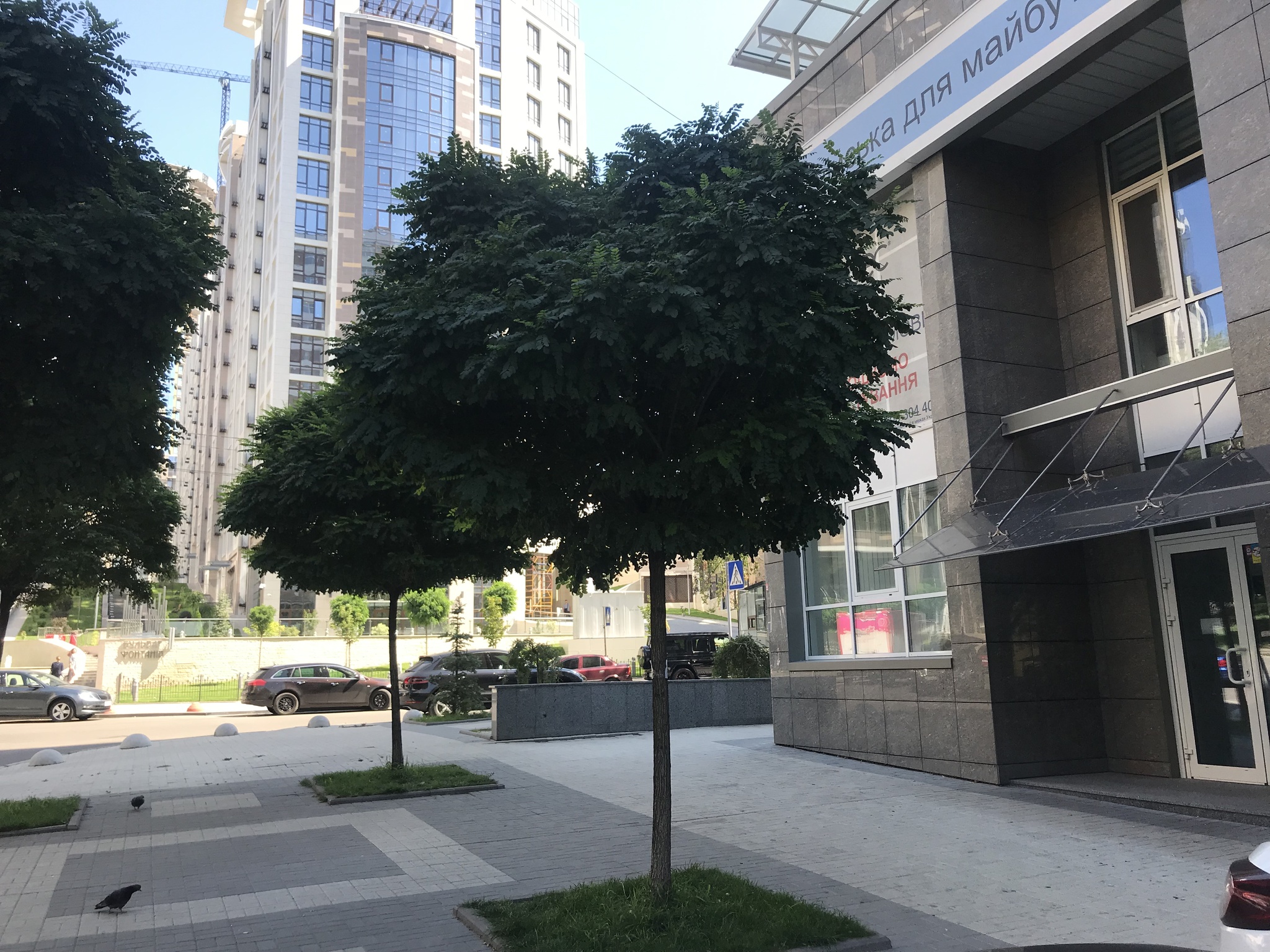 Оренда офісу 245 м², Академіка Філатова вул., 2/1
