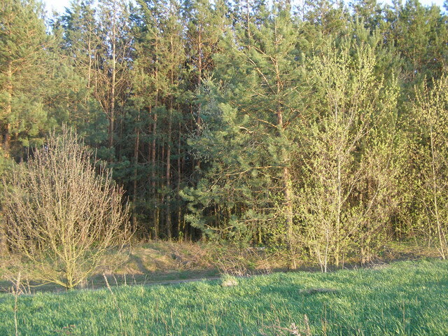 Продаж ділянки для приватного використання 20 соток, Харьковская ул.